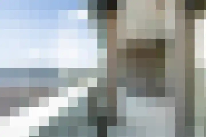 Choorstraat 67 's-Hertogenbosch thumbnail 30