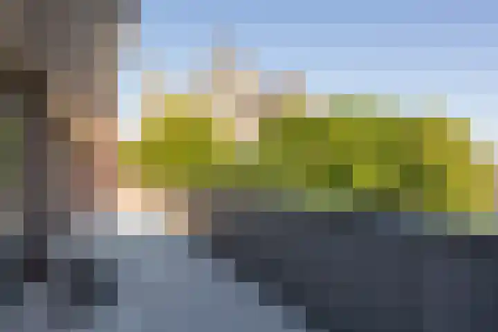 Choorstraat 67 's-Hertogenbosch thumbnail 33