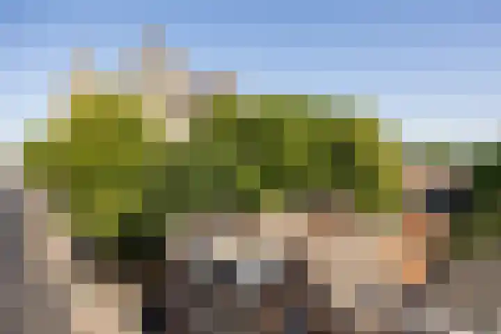 Choorstraat 67 's-Hertogenbosch thumbnail 45