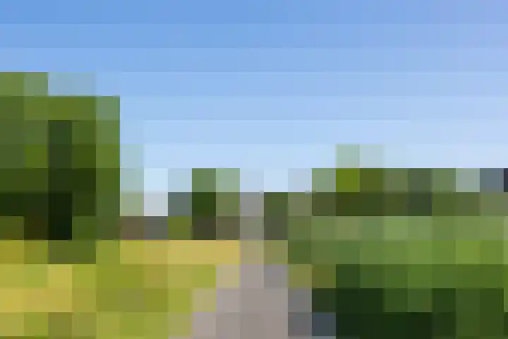 Choorstraat 67 's-Hertogenbosch thumbnail 47