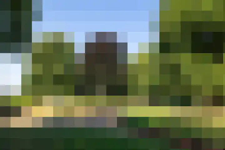 Choorstraat 67 's-Hertogenbosch thumbnail 50