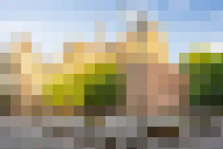 Choorstraat 67 's-Hertogenbosch thumbnail 51