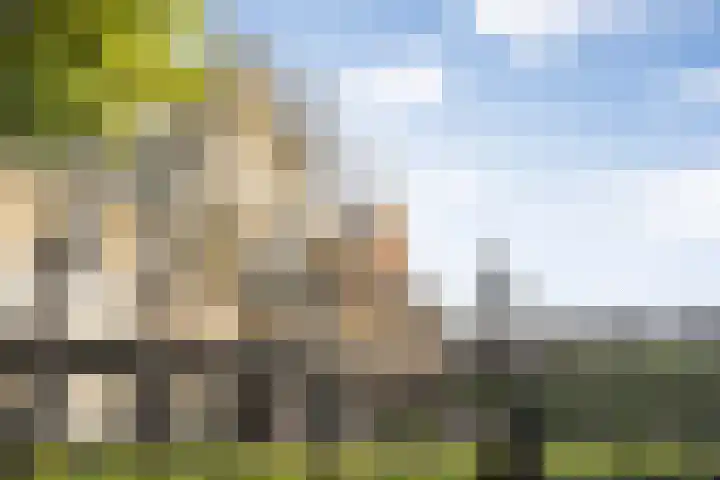 Choorstraat 67 's-Hertogenbosch thumbnail 52