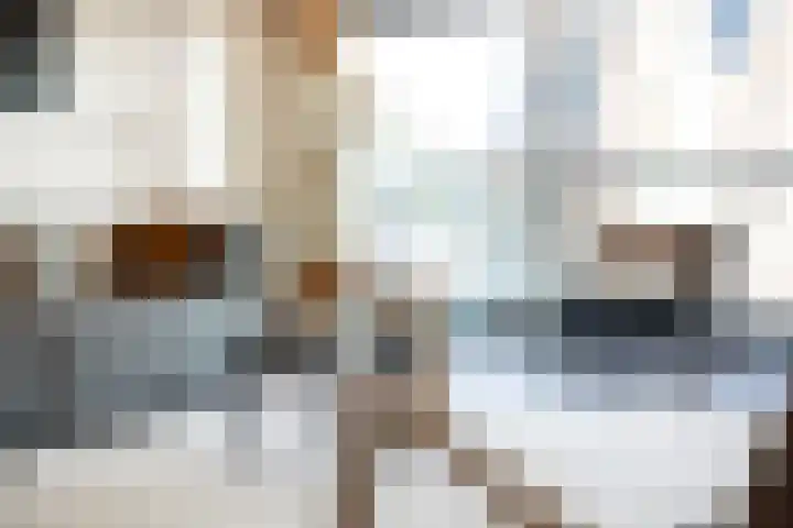 Choorstraat 67 's-Hertogenbosch thumbnail 6