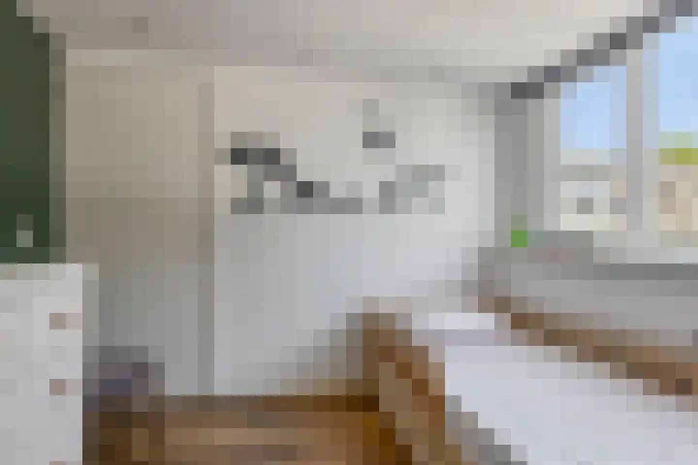 Choorstraat 88 Monster thumbnail 9
