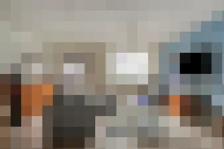 Chopindreef 10 Harderwijk thumbnail 10