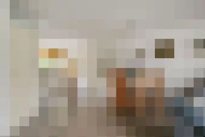 Chopindreef 10 Harderwijk thumbnail 13