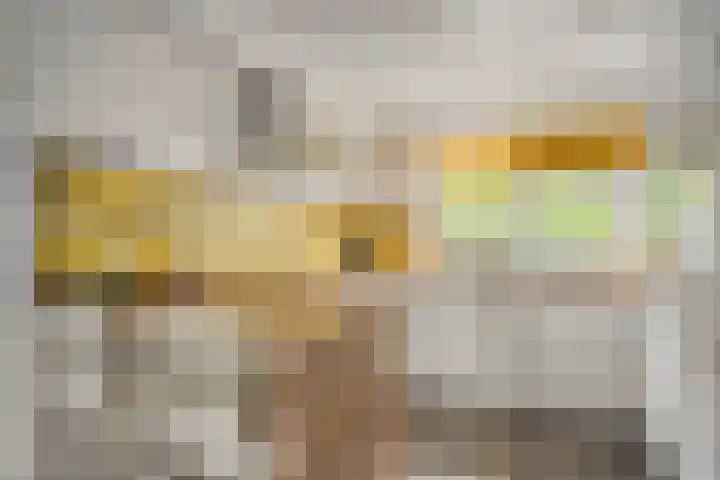 Chopindreef 10 Harderwijk thumbnail 14