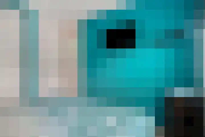 Chopindreef 10 Harderwijk thumbnail 18