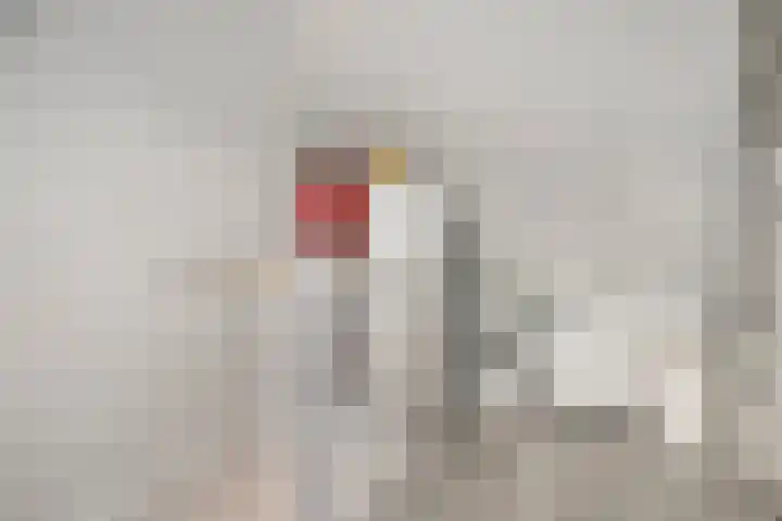 Chopindreef 10 Harderwijk thumbnail 27