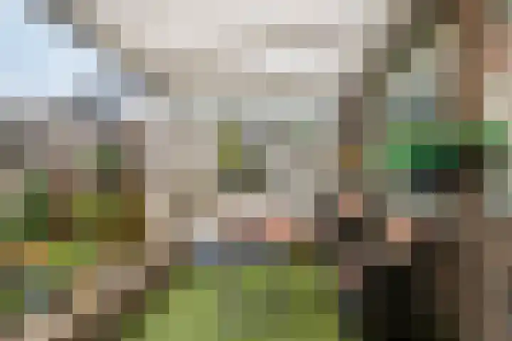 Chopindreef 10 Harderwijk thumbnail 33