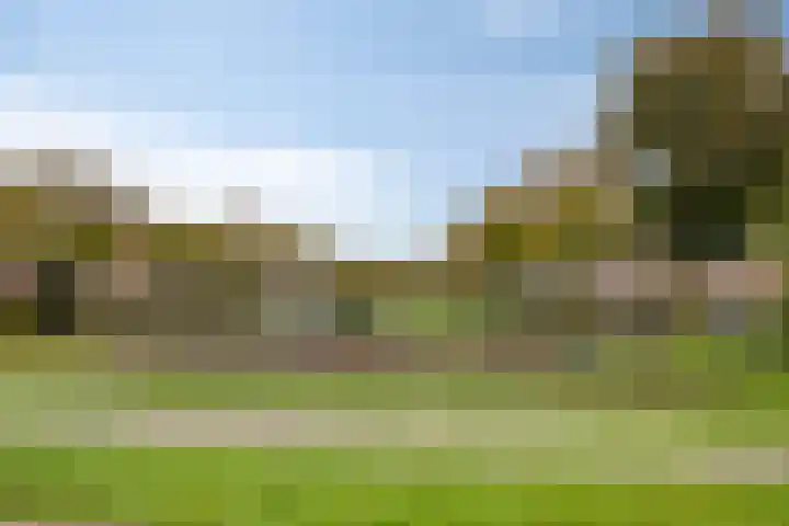 Chopindreef 10 Harderwijk thumbnail 35