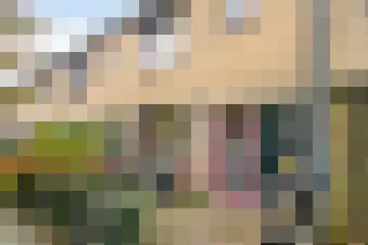 Chopindreef 10 Harderwijk thumbnail 4