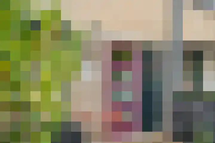 Chopindreef 10 Harderwijk thumbnail 5