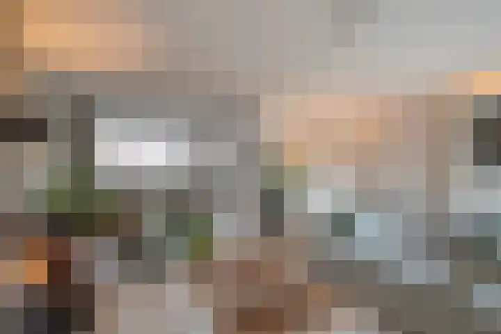 Chopindreef 101 Harderwijk thumbnail 11