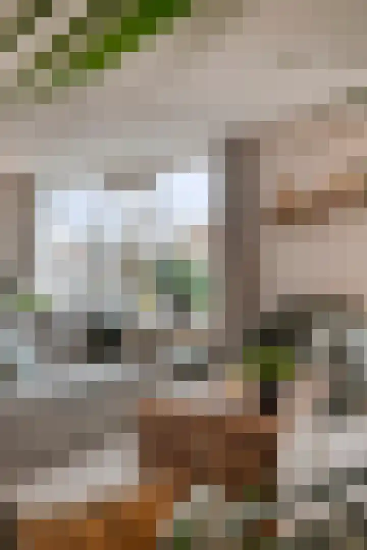Chopindreef 101 Harderwijk thumbnail 14