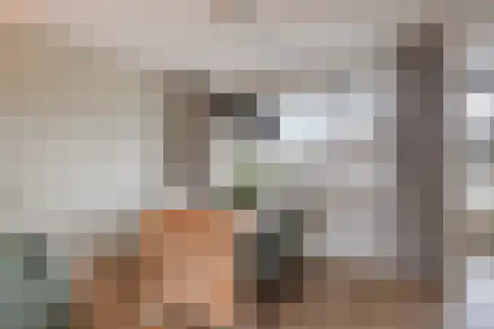 Chopindreef 101 Harderwijk thumbnail 15