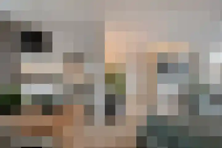 Chopindreef 101 Harderwijk thumbnail 16