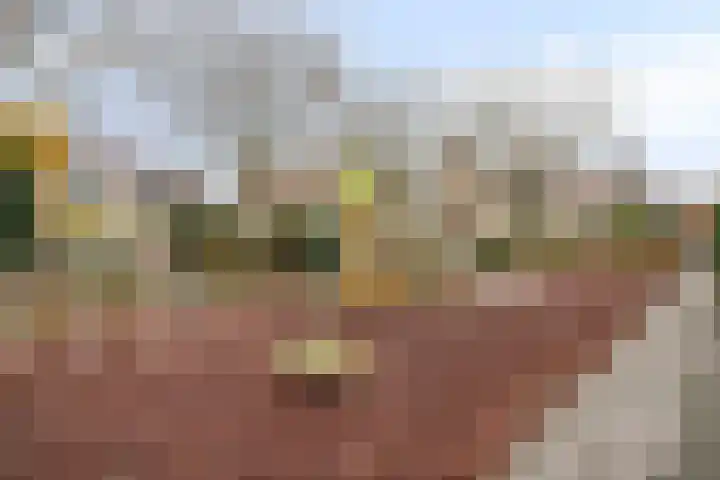 Chopindreef 101 Harderwijk thumbnail 40