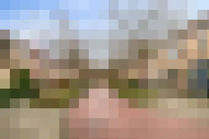Chopindreef 101 Harderwijk thumbnail 5