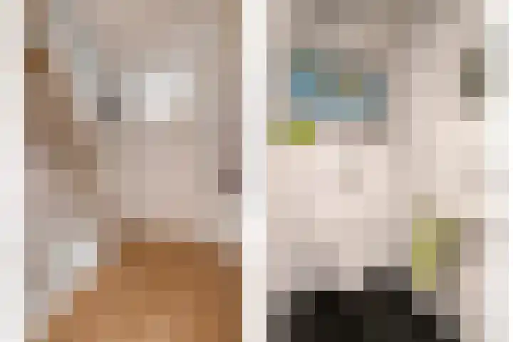 Chopindreef 101 Harderwijk thumbnail 9