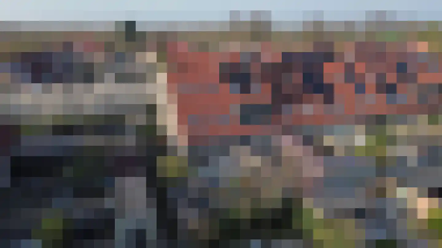 Chopindreef 31 Harderwijk thumbnail 35
