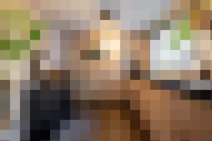 Chopindreef 40 Harderwijk thumbnail 10