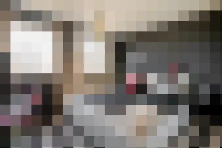 Chopindreef 40 Harderwijk thumbnail 14