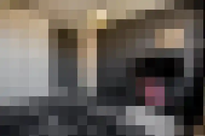 Chopindreef 40 Harderwijk thumbnail 15