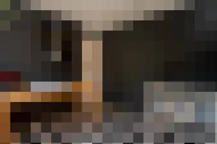 Chopindreef 40 Harderwijk thumbnail 17