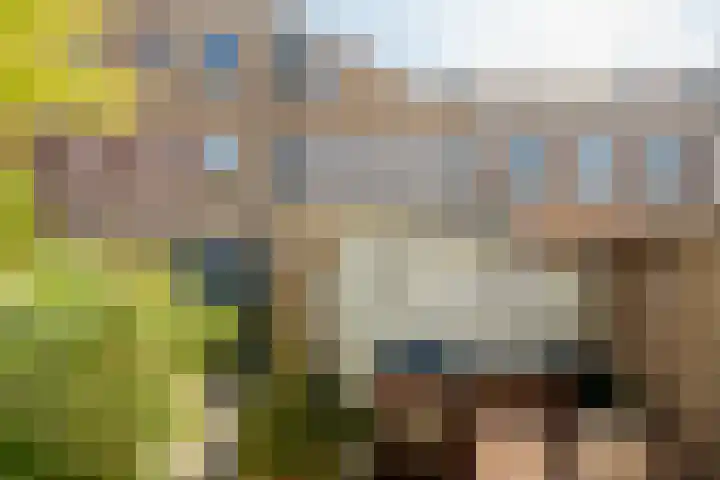 Chopindreef 40 Harderwijk thumbnail 31