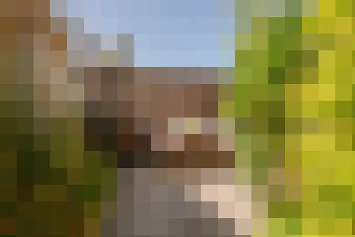 Chopindreef 40 Harderwijk thumbnail 33