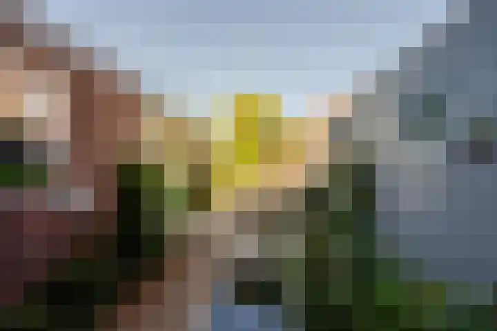 Chopindreef 40 Harderwijk thumbnail 34