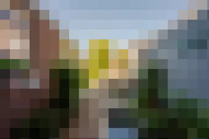 Chopindreef 40 Harderwijk thumbnail 35