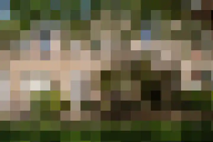 Chopindreef 40 Harderwijk thumbnail 36