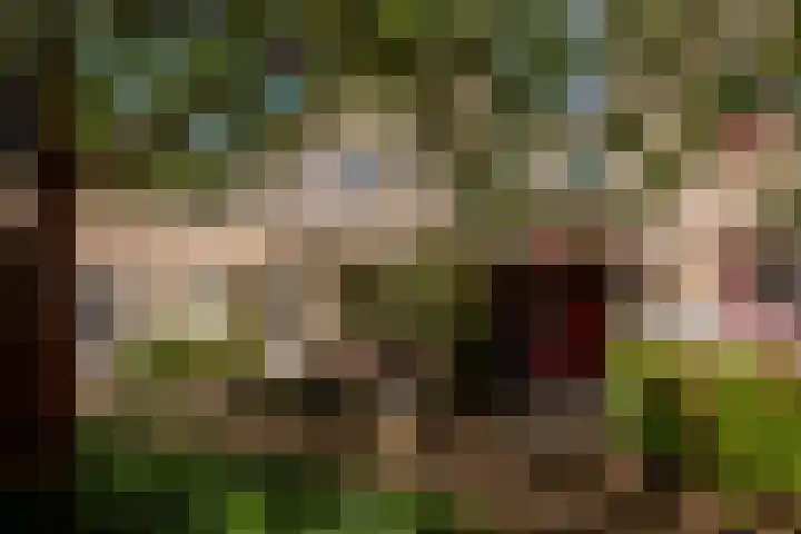 Chopindreef 40 Harderwijk thumbnail 37