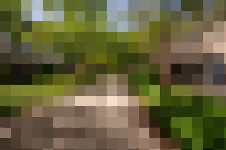 Chopindreef 40 Harderwijk thumbnail 38