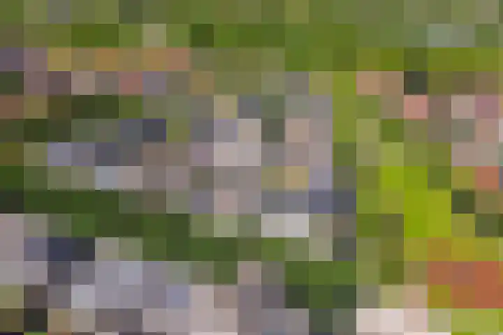 Chopindreef 40 Harderwijk thumbnail 41