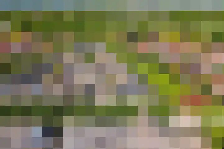 Chopindreef 40 Harderwijk thumbnail 42