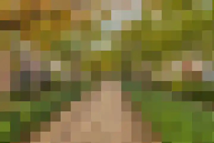 Chopindreef 42 Harderwijk thumbnail 4