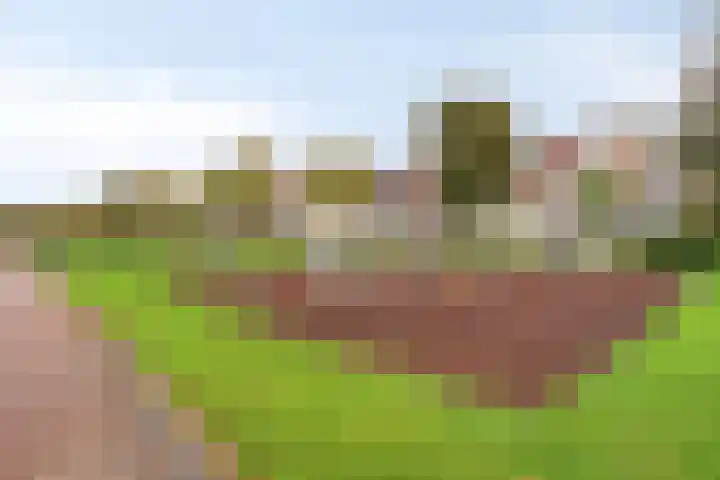 Chopindreef 42 Harderwijk thumbnail 5