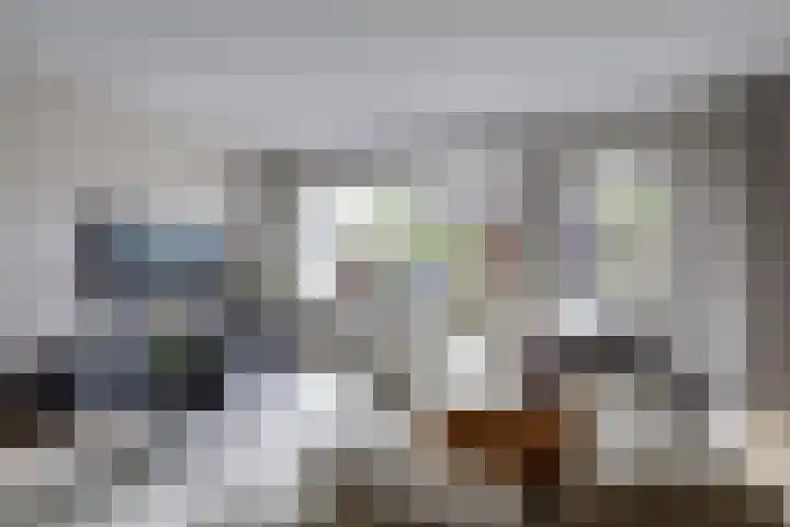 Chopindreef 51 Harderwijk thumbnail 11