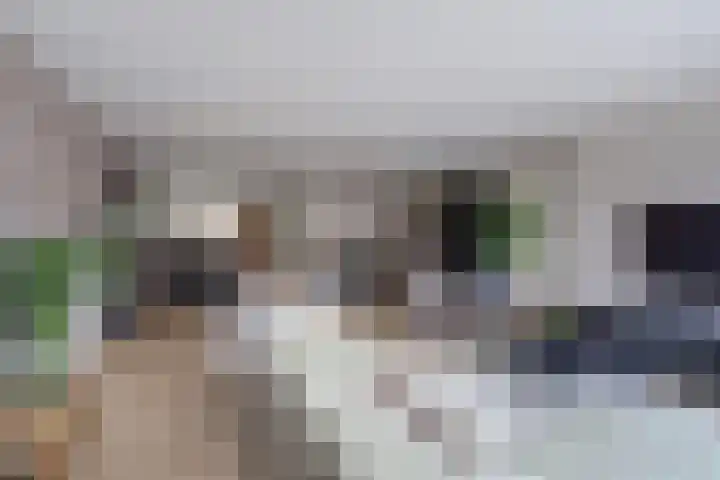 Chopindreef 51 Harderwijk thumbnail 12