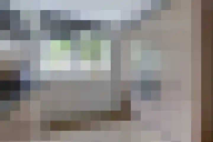 Chopindreef 51 Harderwijk thumbnail 17
