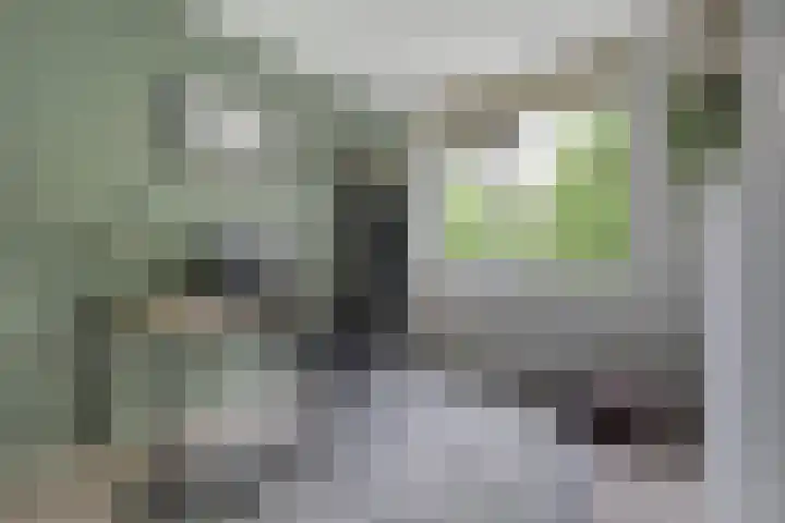 Chopindreef 51 Harderwijk thumbnail 26