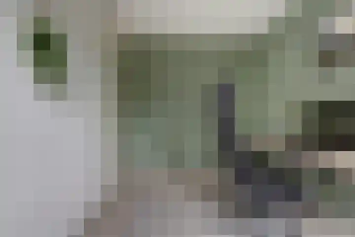 Chopindreef 51 Harderwijk thumbnail 27