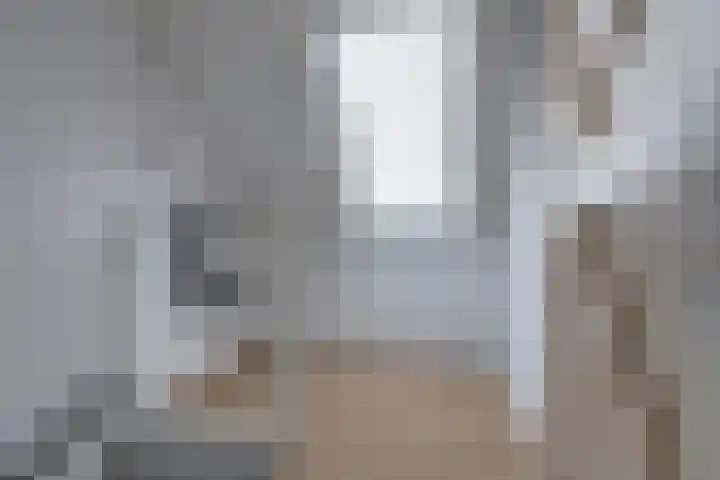 Chopindreef 51 Harderwijk thumbnail 29