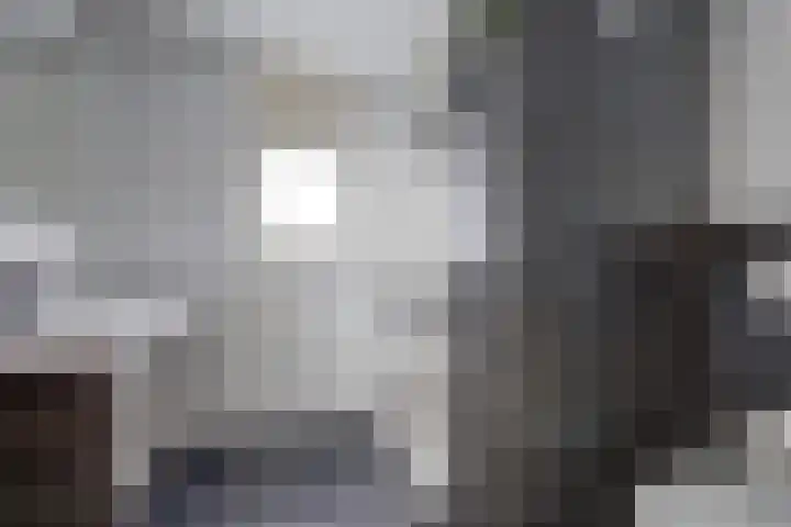 Chopindreef 51 Harderwijk thumbnail 32