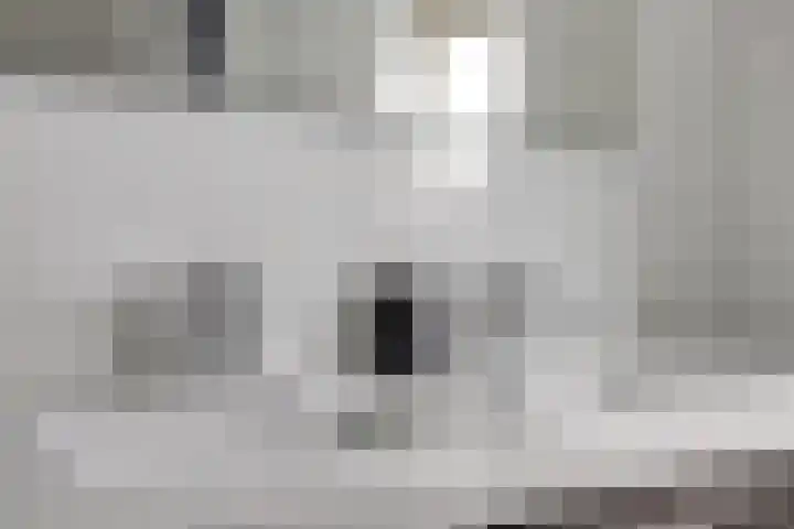 Chopindreef 51 Harderwijk thumbnail 35