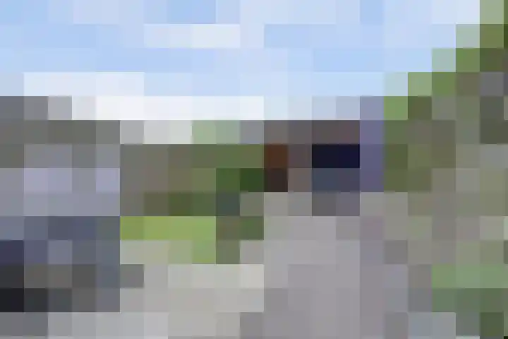 Chopindreef 51 Harderwijk thumbnail 4